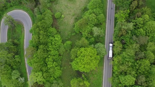 Ônibus na estrada pela densa floresta de coníferas