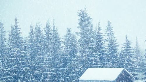 Snowfall in Winter in the Forest Soft Snowy Christmas Morning with Falling Snow