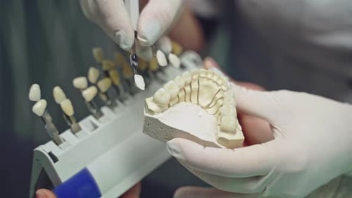 Dental Professional Working on Tooth Mold in Lab