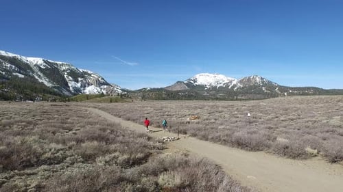 Aerial shot of a young man and woman trail running with dog on scenic mountain trail.