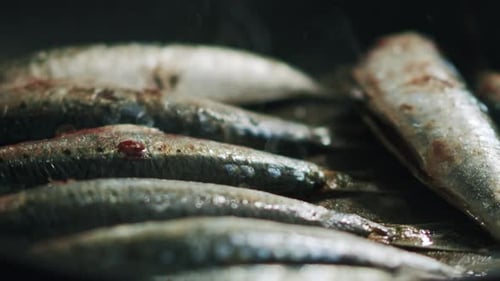 Fresh Sardines Cooking in a Pan