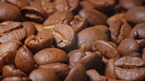 Coffee Beans Shown in Extreme Close Up