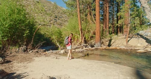 Woman Hiking in the Sunny Forest To the Creek. Traveler Exploring Scenic Nature