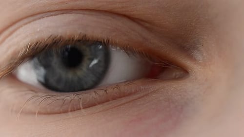 Eye
