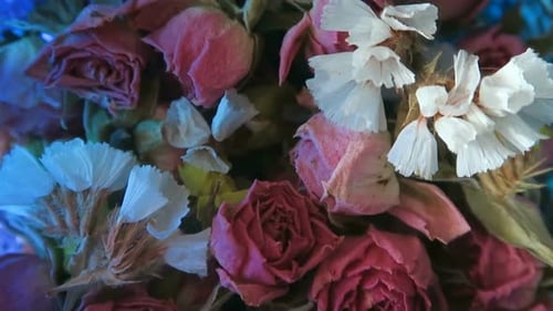 Rotation Dry Flowers Background