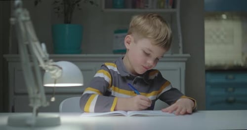 Boy Writing in a Notebook at Home