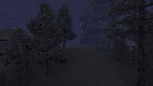 Snowfall in the Forest