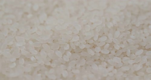 White rice close up