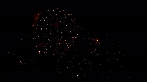 Spectacular Fireworks Bursting in the Night Sky