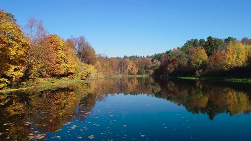 Colorful Autumn Forest Wood on the Lake