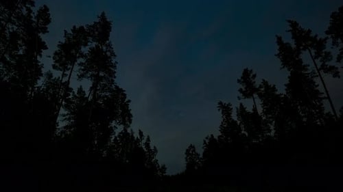 Time Lapse of Moving Clouds and Stars Over Forest in the Night Sky
