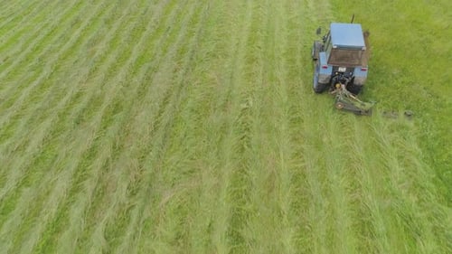 Le tracteur tond le gazon