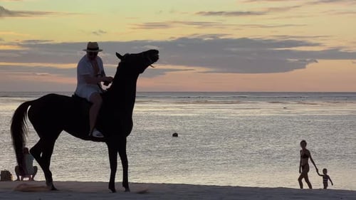 Horseback Riding on a Tropical Beach Along the Coast of Ocean