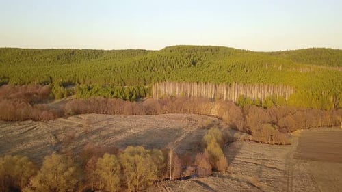 Early Spring Forest River Nature