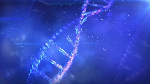 Zerstörung eines Abschnitts des DNA-Strangs HD