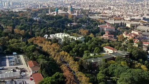 Aerial drone view of Barcelona city at daylight. Montjuic district. Spain