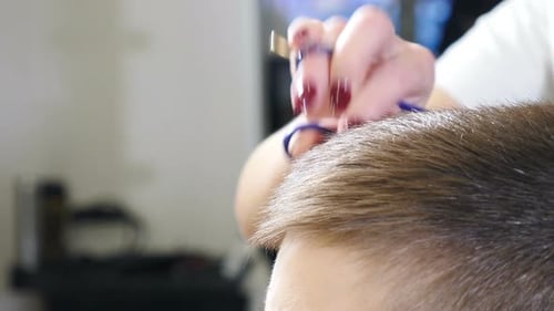 Detailed Haircut at the Salon