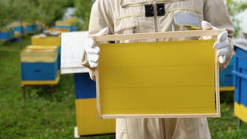 Closeup Beekeeper Holding a Honeycomb