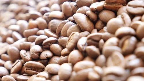 Grains de café torréfiés prêts à être moulus, images DOF 4K 2160p UltraHD à balayage lent et peu profondes - Backg
