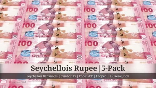 Seychellois Rupee | Seychelles Currency - 5 Pack | 4K Resolution | Looped