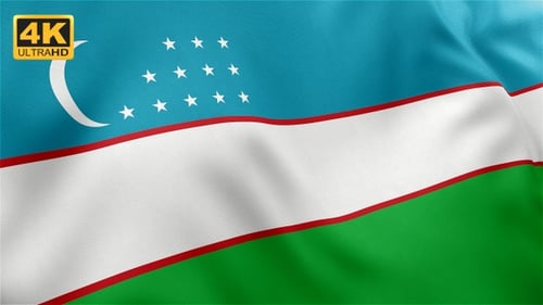 Uzbekistan Flag Waving Seamless Loop