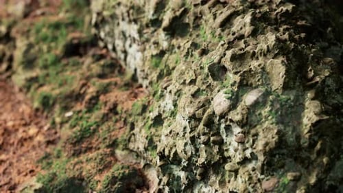 Close Up of Rocky Stones Formation