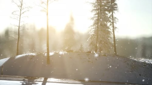 Splendid Christmas Scene in the Mountain Forest. Colorful Winter Sunrise