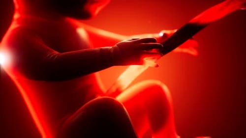 Animation médicale 3D d'un foetus humain