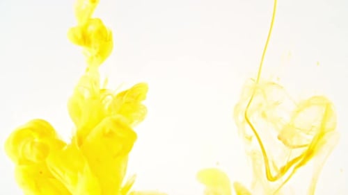 Bright Yellow Ink Plumes Flowing in Water