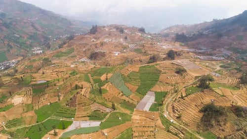 Aerial View of Terraced Farmland on Rural Mountainside