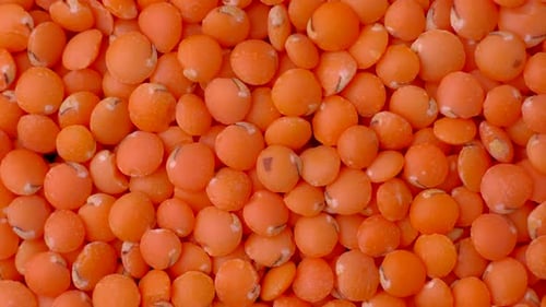Close Up of Fresh Red Lentils
