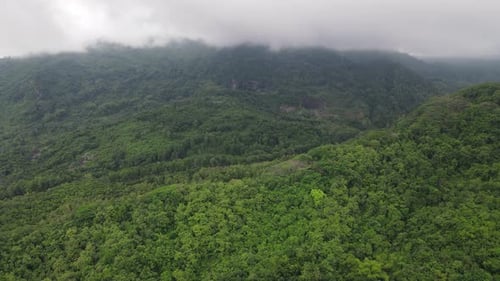 Aerial drone view of mist tropical rainforest in valley, Indonesia.