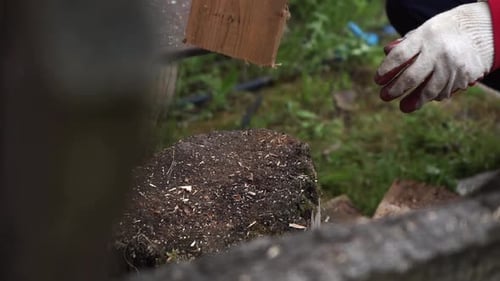 A Worker in Red Clothes and Safe Red and White Gloves Cuts the Board in Half with an Ax. Logging for