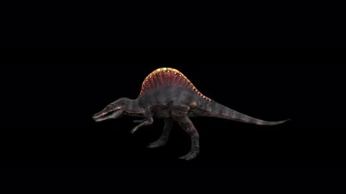 4K Dinosaur Spinosaurus Run