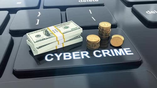 Criminal fraud in internet cyberspace in commerce, bank and financial industry