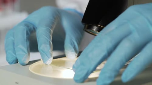 Lab Worker Adjusting Illuminated Microscope Slide to Get Better View of Sample