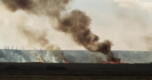 Fire Consuming a Rural Field During Daytime