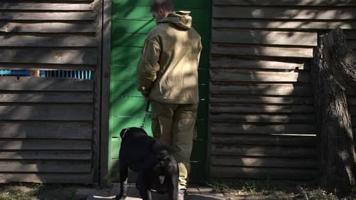 Back View Man Opening Dog Training Center Door in Slow Motion Entering with Cane Corso Leaving