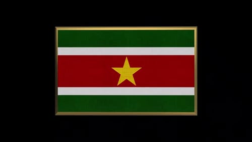 Suriname 3D Flag