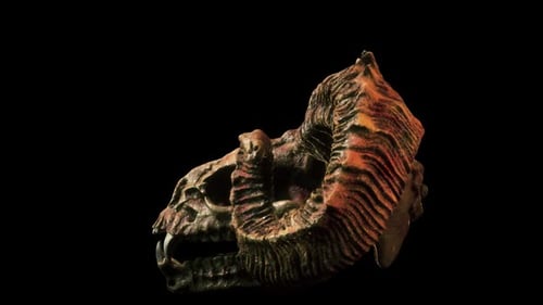 Scary Goat Skull VJ Loop