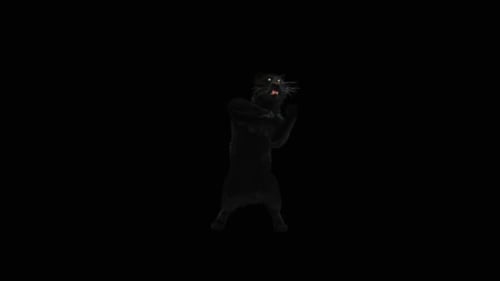 3D Black Panther Roaring with Aggressive Stance Animation