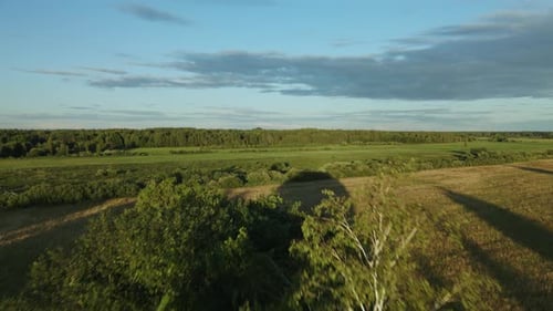 Aerial View of Rural Landscape with Rolling Fields