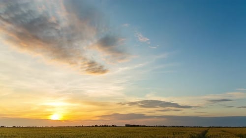 Sunset Over A Large Field Of Wheat In Summer, Timelapse, 4k