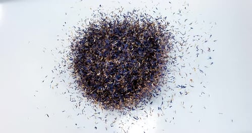 Pile of Blue Flower Petals from Overhead
