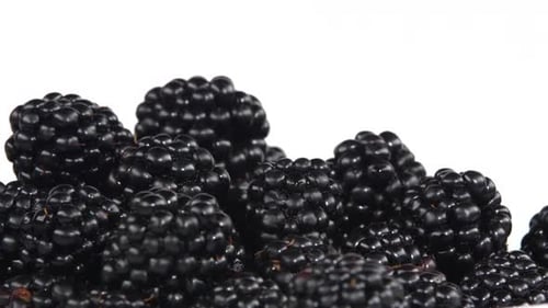Pile of Fresh Dark Blackberries, Close Up Shot