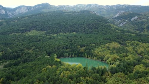 Aerial footage of a green lake with a reflection of clouds on the surface in the woods