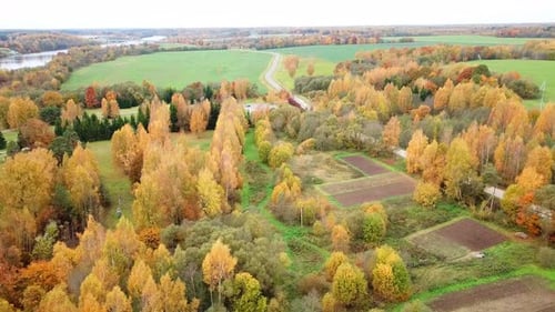 Goldener Herbst In Einem Landgut