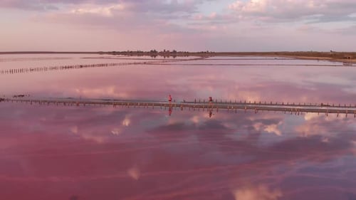Vista aérea desde un Zumbido al Lago Mineral Salado con agua rosada y costa