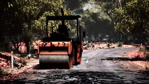 Road Roller Tractor in the Forest