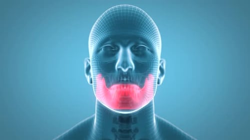 3D Human Head Jaw Bone and Teeth Rotation Medical Animation